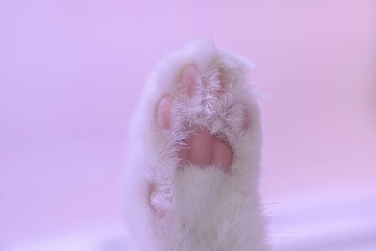 Close-up of hypoallergenic pads for sensitive skin showing breathable cotton top layer